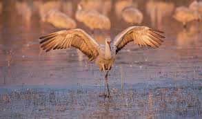 Rising together in a year like no other