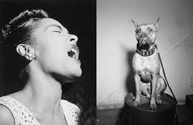 This is the new ebay. Mister And Lady Day The Illustrated Story Of Billie Holiday And The Dog Who Loved Her Brain Pickings