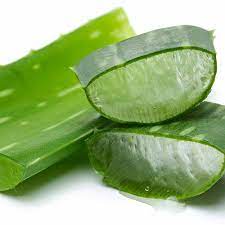 Liputan6.com, jakarta obat gatal alami bisa dijadikan alternatif ketika obat dari apotek habis. Jangan Disangkal Kehebatan Lidah Buaya Tumbuhan Paling Banyak Khasiat