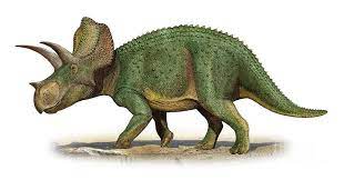 Ojoceratops Possible Junior Synonym Of Triceratops Or Eotriceratops Prehistoric Animals Animals Dinosaur