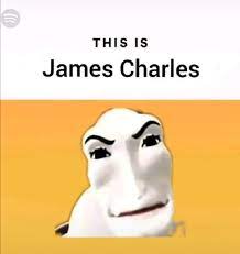 Type or paste image url. This Is James Charles Really Funny Memes Stupid Memes Stupid Funny Memes