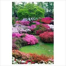 Azalea Rhododendron And Steps To Sunken Lawn Area The Punch Bowl At Valley Gardens Virginia Water Azaleas Garden Garden Shrubs