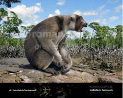 Image result for Antrocaryon