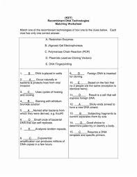 Sequence data analysis has become a very important aspect in the field of genomics. Dna Fingerprinting And Paternity Worksheet Answer Key Dna Fingerprinting Paternity Worksheet Answer Key My Crime Scene Investigation Missing Person Identification Paternity Testing Diagnosing Genetic Disorders Species Kene Lanh