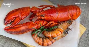 Proses ganti kulit di mulai saat lobster merasa kulitnya penuh sesak. Perbedaan Udang Dan Lobster Beserta Harga Dan Cara Mengolahnya