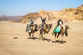 Get in touch with camel trekking to book one of our morocco desert tours, desert activities or to hire a car with driver with best prices. Trekking Sinai Desert Divers