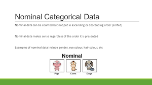Data Collection Ppt Video Online Download