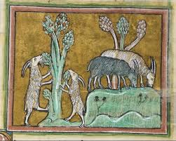 Goats Animal Detail From Medieval Illuminated Manuscript British Library Royal Ms 12 F Xiii C 1230 14th Medieval Art Illuminated Manuscript Book Of Hours