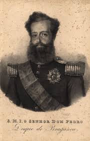 Usa match will broadcast at 6 pm et on sunday, june 22 on espn (usa). Pedro I Of Brazil Military Wiki Fandom