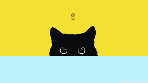 Find the best 4k animated wallpaper on getwallpapers. Cartoon Cat Desktop Wallpapers Top Free Cartoon Cat Desktop Backgrounds Wallpaperaccess