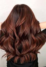 55 Auburn Hair Color Shades To Burn For Auburn Hair Dye Tips Shades Of Red Hair Dark Auburn Hair Hair Color Auburn
