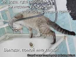 Эй, вода, куда гМ Ты недавне® а тепее Шаешь езыходя, помои мне лагш /  котоматрица / смешные картинки и другие приколы: комиксы, гиф анимация,  видео, лучший интеллектуальный юмор.