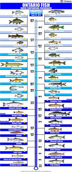 47 Prototypical Water Chart Ontario