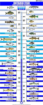 47 prototypical water chart ontario