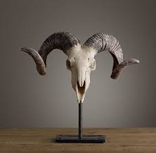 Siberian Snow Sheep Horns Horns Sheep Skull Bone Art