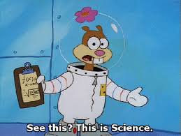 16 Spongebob Memes Sandy Factory Memes