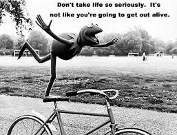 Pin On Live Laugh Love