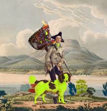 Exhibition Joan Ross Touching Other People S Shopping At Bett Gallery Hobart Art Shopping Art Museum Of Modern Art