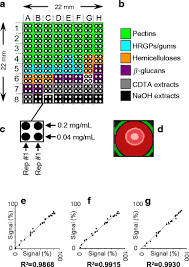 The cell wall is made of three major types of polysaccharides (polymer types of sugars). High Throughput Screening Of Monoclonal Antibodies Against Plant Cell Wall Glycans By Hierarchical Clustering Of Their Carbohydrate Microarray Binding Profiles Springerlink