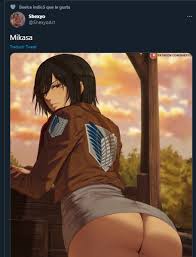 Beelce: Me encanta el personaje de Mikasa porque no solo es cuerpo y fuerza  sino que también su trasfondo. Also Beelce: : r/BeelcitosMemes