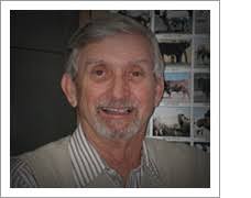 Beef Cattle Browsing