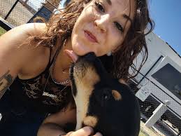 Cocker spaniel/poodle foster home needed in Houston area