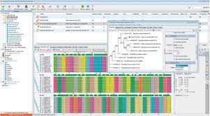 The phylogenetic tree showing the relationship of a MT-CO1 sequence...