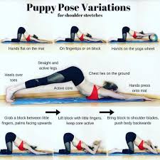 Pin By Tammy Coard On Yoga Puppy Pose Yoga Puppies Yoga Yoga Tutorial