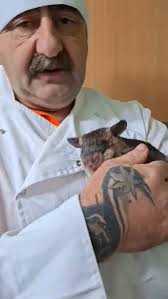 Back in the kitchen cooking with ruby