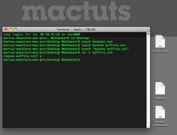 Hack app data pro is an app as the name predicts that it allows the user to change application data such as internal files, editing text, etc. Navigating The Terminal A Gentle Introduction