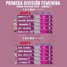 It is considered as one of the most competitive leagues in its category around the world, with its first season taking place in 1988. Facebook