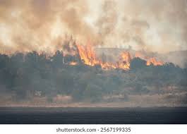 Image result for tbn:XVFRz-6Maj2JLM::www.jolmag.co.za/wildfire/images/Logos/vuvuzela_header.jpg