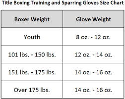 Title Boxing Classic Max Hook And Loop Boxing Gloves Black