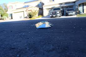 Professional frosted glass blocks las vegas these products include the traditional and antiqued paver and wall series, concrete block, stone and brick. Broken Glass Is Scattered In The Street On Friday Nov 2 2018 Near A House In The 6700 Block Of Courtney Michelle Street In North Las Vegas That Hit By Gunfire Killing