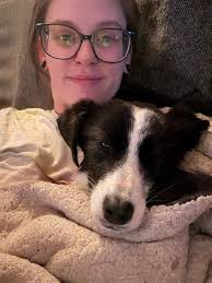 Small dog wanted in Joplin area