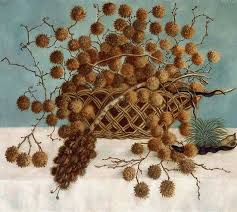 Bildergebnis für Olga Costa