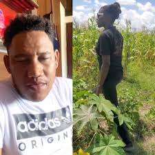 Madame tòya kap fè koze gade yon bèl jaden li plante tou avanyè an la gade  mayi li gentan genyen ,ann pa gade sou leta latè se sel kote depiw simen  wap rekolte