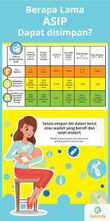 Tips cara banyakkan susu badan by tya arifin journeywithtya. Ini Tips Menyimpan Asi Untuk Menjaga Kandungan Gizinya