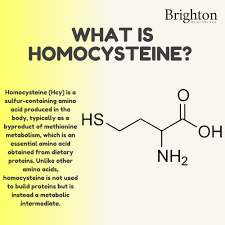 Image result for Homocysteine