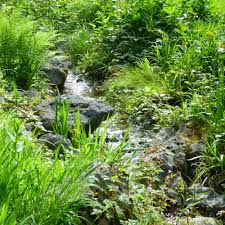 1.4 unsere empfehlungen für bachlaufschalen. Bachlauf Im Garten Anlegen