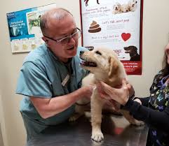 Two mandatory spay/neuter bills have been filed in the texas legislature. Program Aims To Spay And Neuter 2 500 Dogs And Cats In Greater Houston And San Antonio Houston Public Media