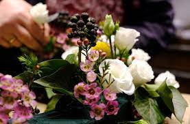 Check spelling or type a new query. The Master Of Flowers Charlottenbogen