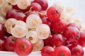 Für gewöhnlich ist es so, dass man als. Johannisbeersorten Die 10 Besten Sorten Fur Den Garten Botanik Guide