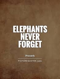 The elephant is never won by anger; Pin By Debbie Lemay On Elephants Elephant Quotes Never Forget Quotes Forgotten Quotes