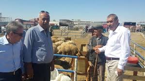 Bogazliyan Hayvan Pazari Gezildi Sungurlu Ticaret Borsasi