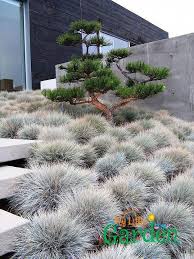 33 Die Besten Garten Design Ideen Fur Mehr Garten Design Ideen Japanese Garden Landscape Modern Japanese Garden Modern Landscaping