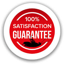 Pioneer pest management is certified in wood destroying organism pest inspection reports. Pest Inspections Wood Destroying Insect Reports For Real Estate