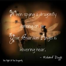 Pin By Brenda Ellison On Dragonfly Dragonfly Quotes Dragonfly Words