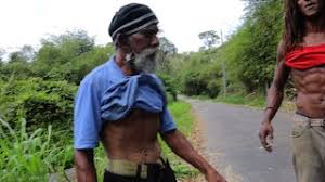 Then his eyes landed on a glass of milk. Agriculture Farming Inside Caura Part Ii Nghenhachay Net