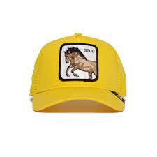Goorin Big Stud Baseball Hat W Sweatband In Yellow In 2021 Goorin Baseball Hats Sweatband